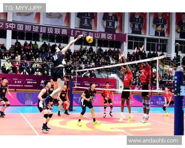 武汉排球队荣登排球节奏排行榜第二名展现出色竞技实力与团队合作精神